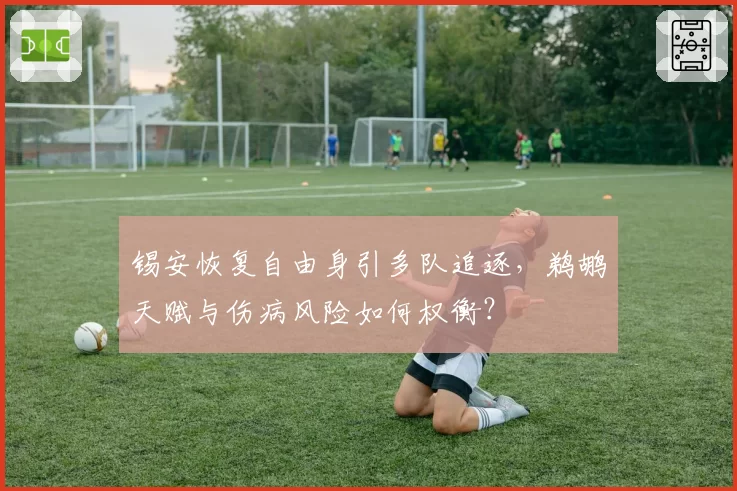 锡安恢复自由身引多队追逐，鹈鹕天赋与伤病风险如何权衡？