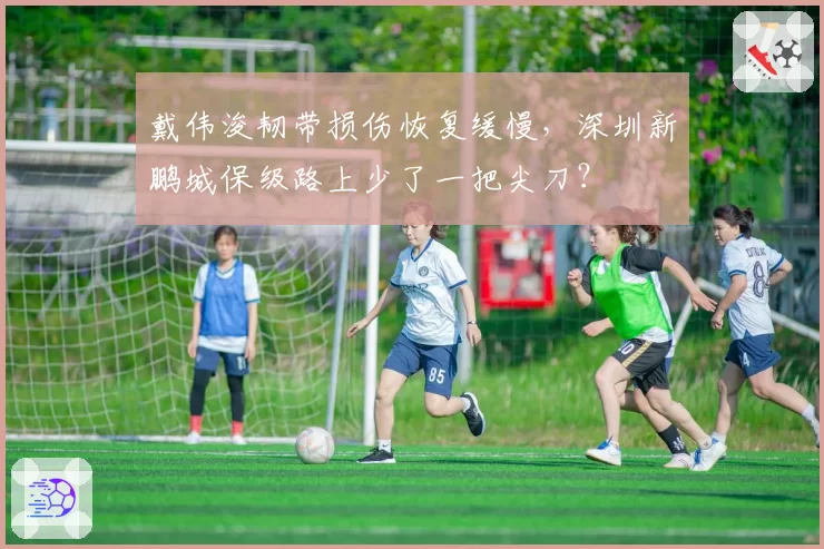 戴伟浚韧带损伤恢复缓慢，深圳新鹏城保级路上少了一把尖刀？