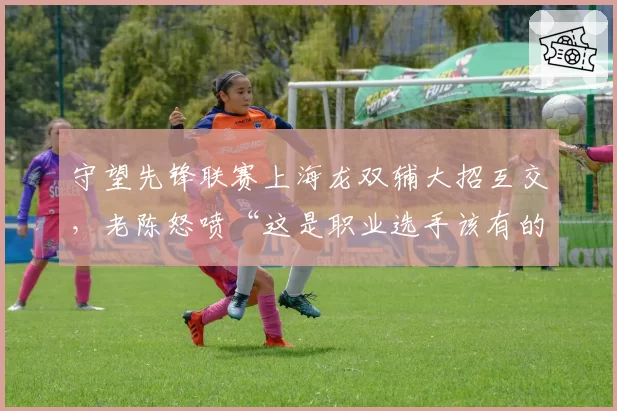 守望先锋联赛上海龙双辅大招互交，老陈怒喷“这是职业选手该有的配合”？